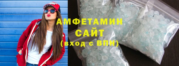 шишки Арсеньев