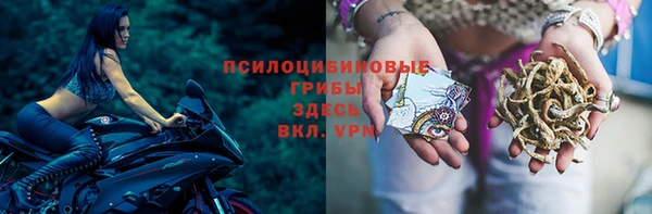 герыч Аркадак