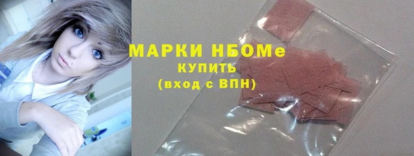 шишки Арсеньев