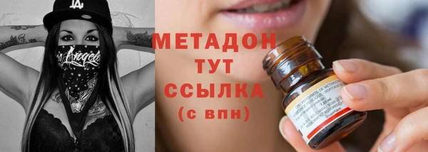 шишки Арсеньев