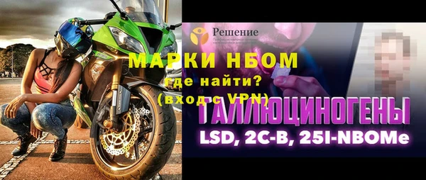 шишки Арсеньев