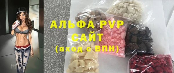 шишки Арсеньев